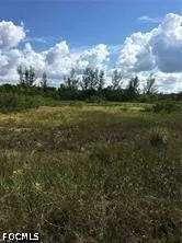 GAME BIRD LANE Bokeelia, FL 33922