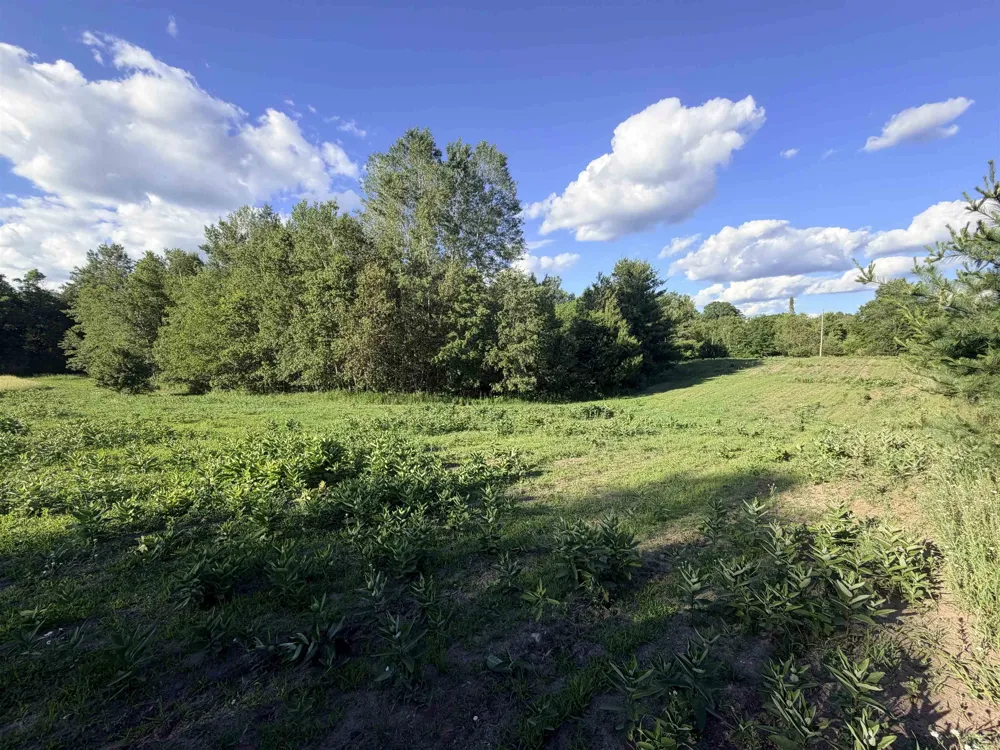 16695 20th Avenue Middle Branch Township, MI 49665