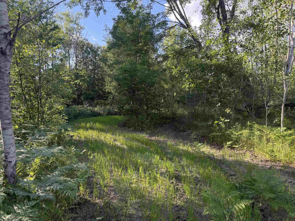 16695 20th Avenue Middle Branch Township, MI 49665