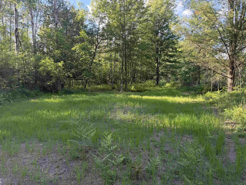 16695 20th Avenue Middle Branch Township, MI 49665