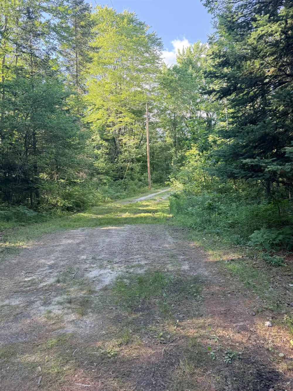 16695 20th Avenue Middle Branch Township, MI 49665