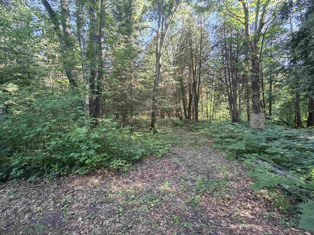 16695 20th Avenue Middle Branch Township, MI 49665