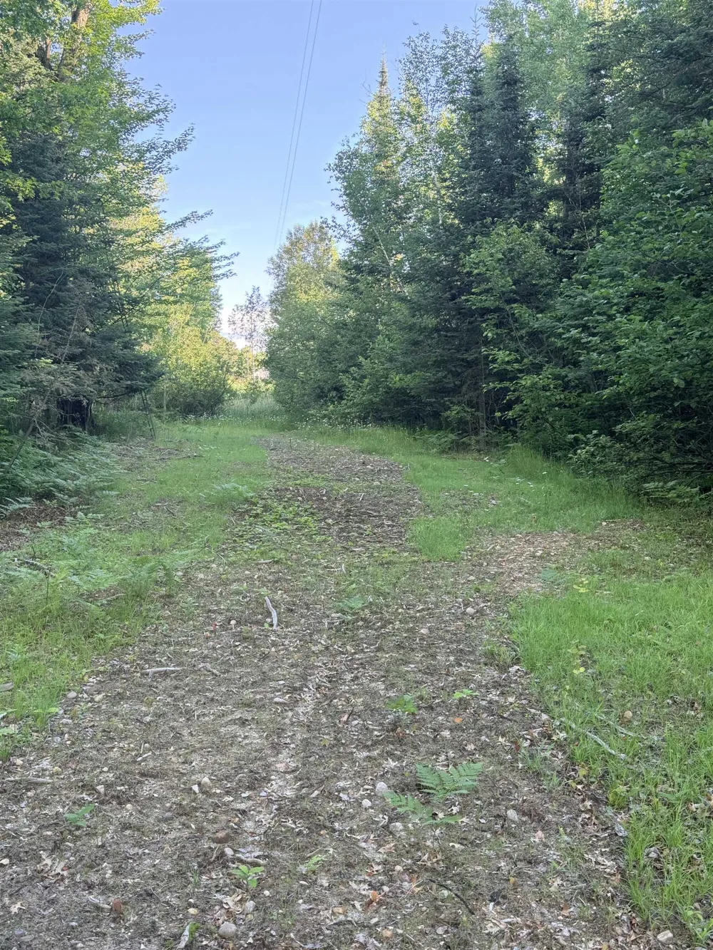 16695 20th Avenue Middle Branch Township, MI 49665