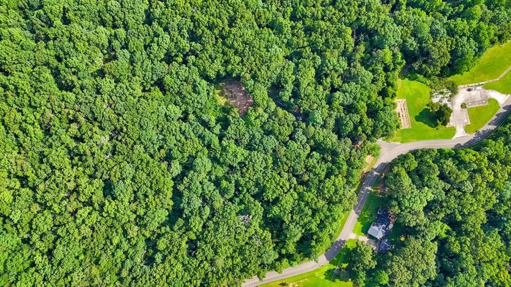 173 Hogan Pond Lane Ball Ground, GA 30107