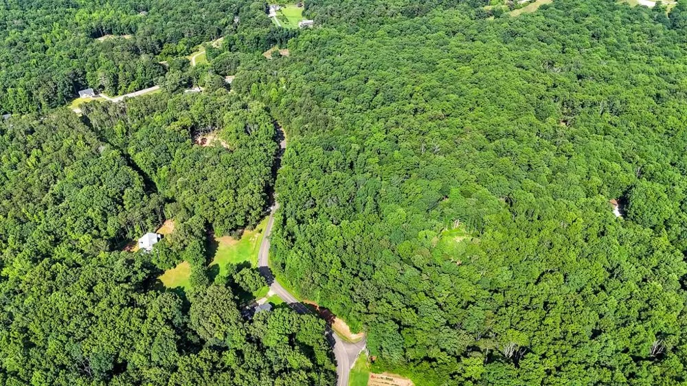 173 Hogan Pond Lane Ball Ground, GA 30107