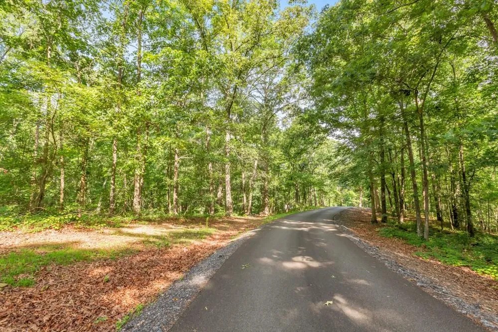 173 Hogan Pond Lane Ball Ground, GA 30107