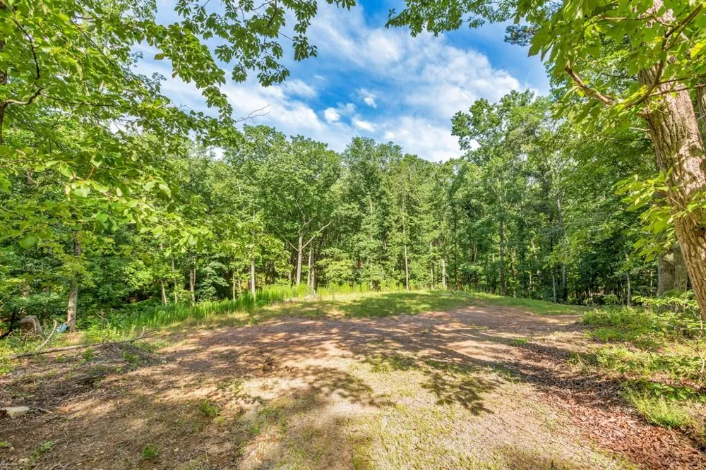 173 Hogan Pond Lane Ball Ground, GA 30107