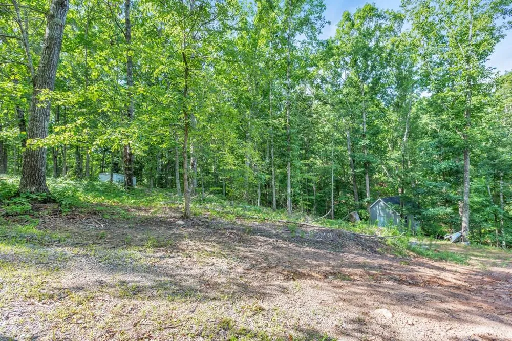 173 Hogan Pond Lane Ball Ground, GA 30107
