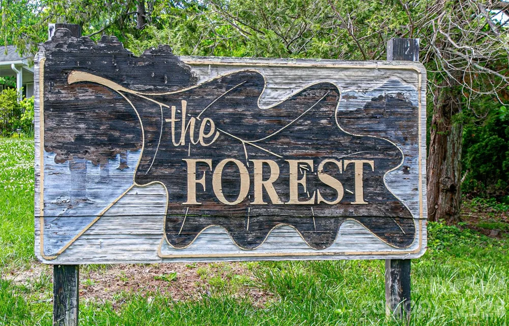 99999 BLACK OAK DRIVE #13 Asheville, NC 28804