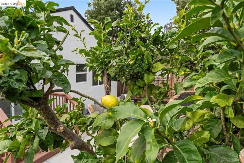 6032 Mauritania Ave Oakland, CA 94605