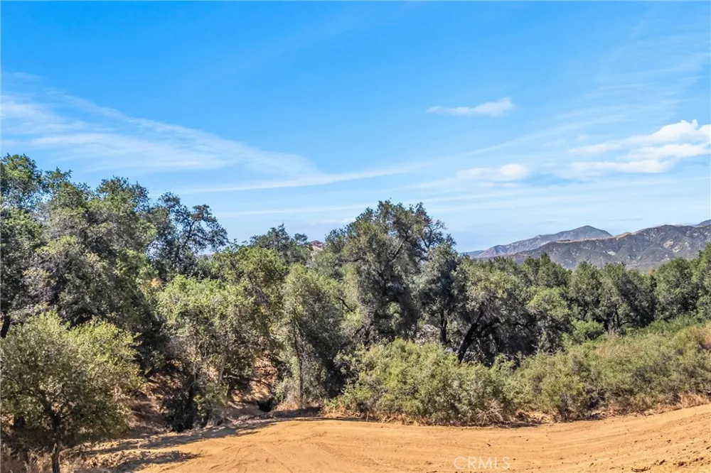 13582 Oak Mountain Drive Yucaipa, CA 92399