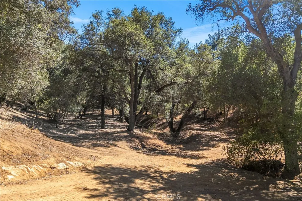 13582 Oak Mountain Drive Yucaipa, CA 92399
