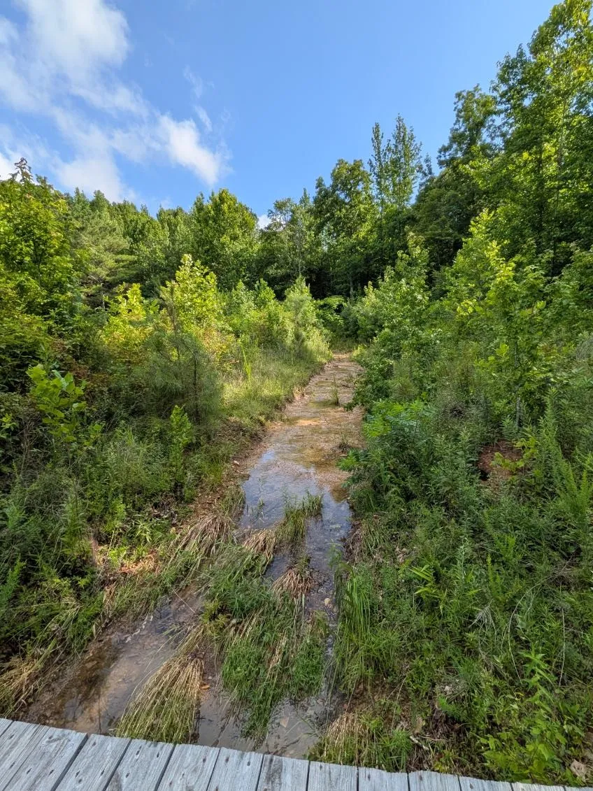 100 Asbury Dr New Johnsonville, TN 37134