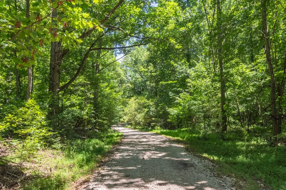100 Asbury Dr New Johnsonville, TN 37134