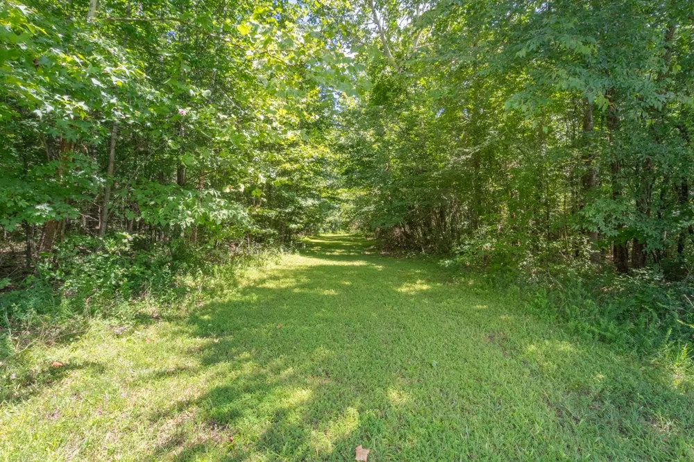 100 Asbury Dr New Johnsonville, TN 37134