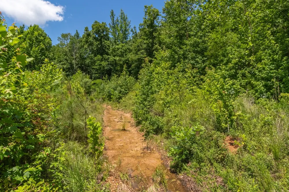 100 Asbury Dr New Johnsonville, TN 37134