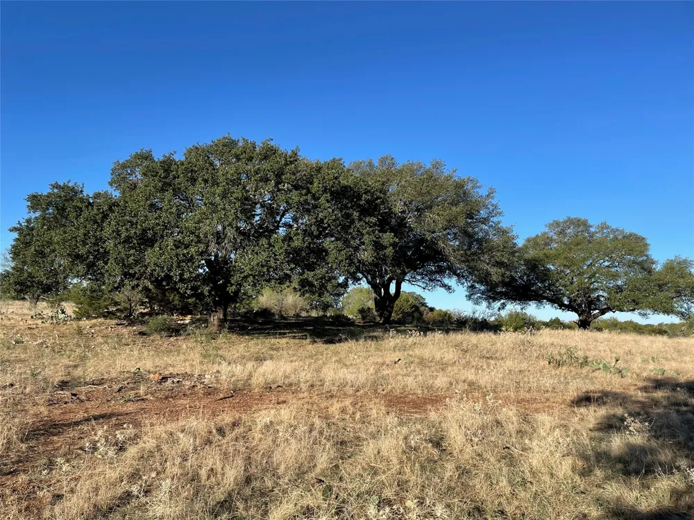 Address Not Shown San Saba, TX 76877