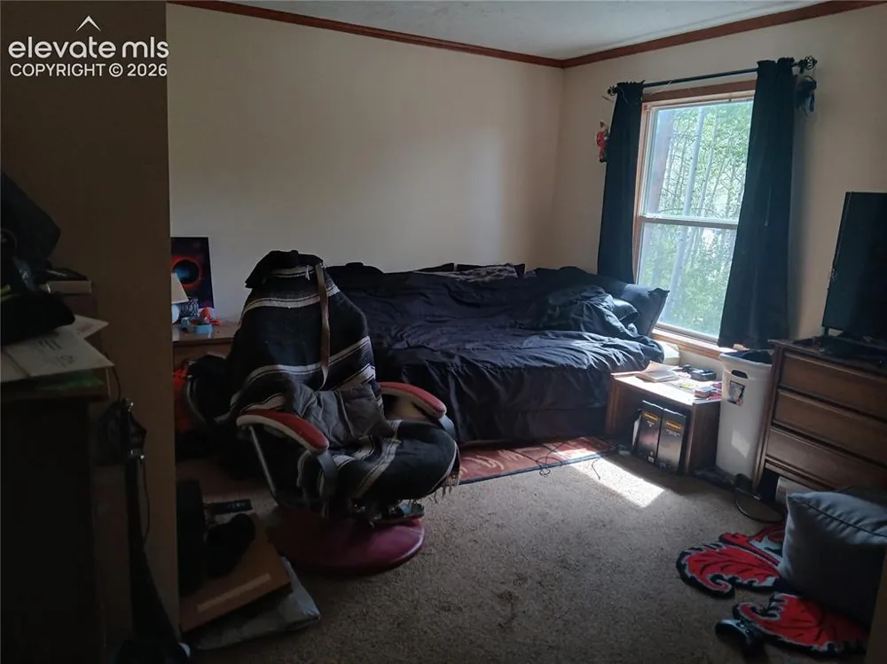 2272 County Road 1 Cripple Creek, CO 80813