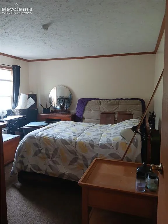 2272 County Road 1 Cripple Creek, CO 80813