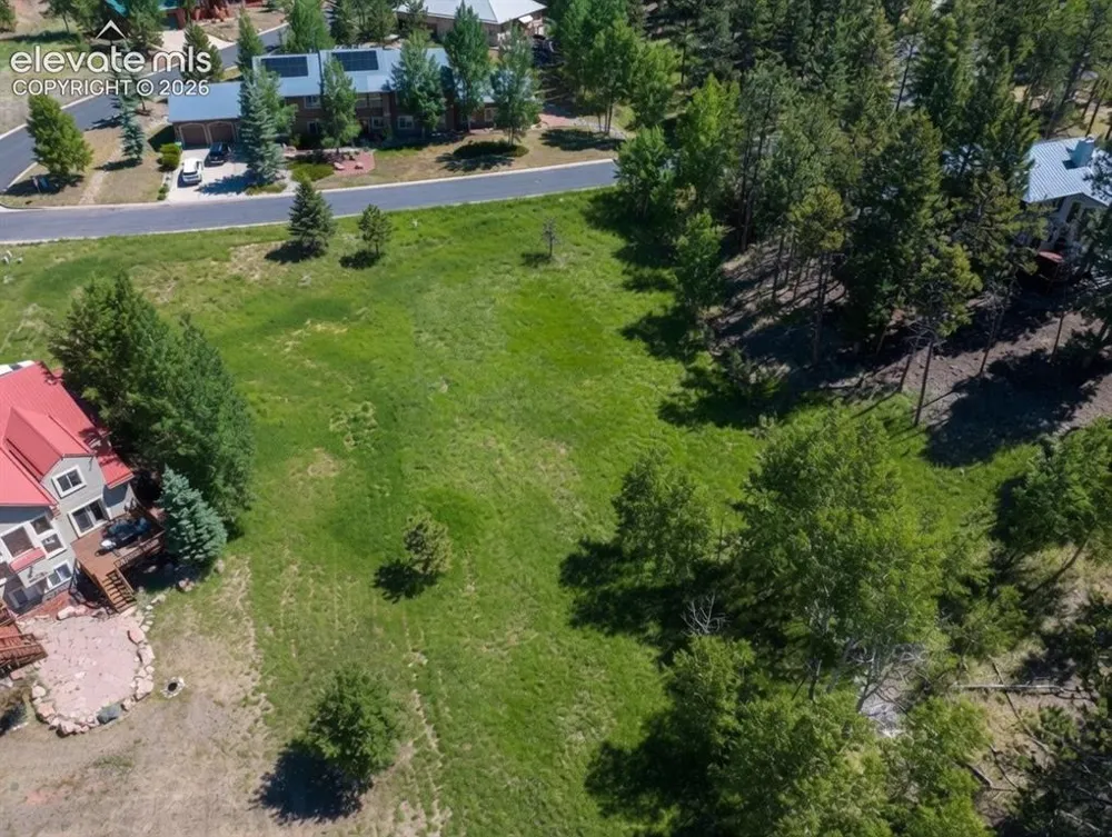 921 Heather Court Woodland Park, CO 80863