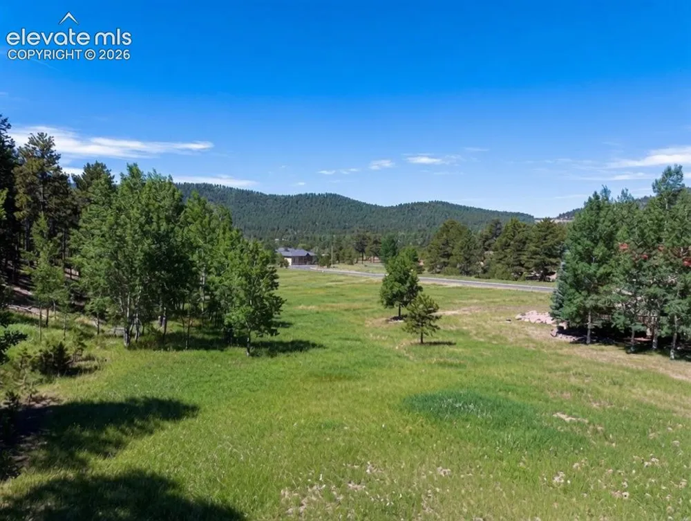 921 Heather Court Woodland Park, CO 80863