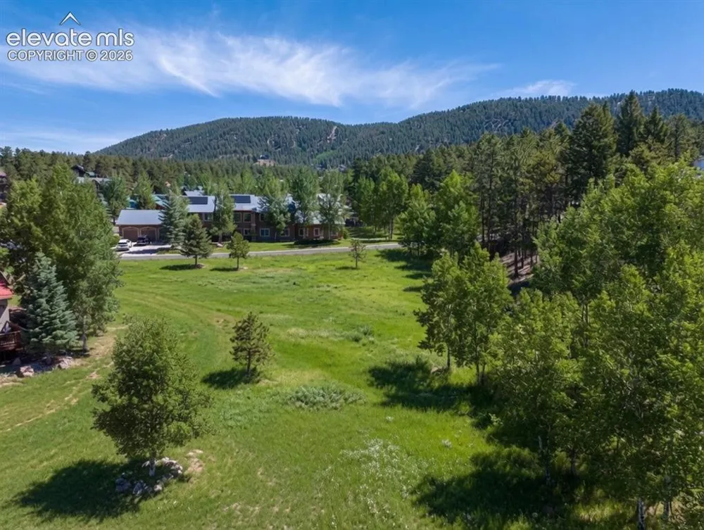 921 Heather Court Woodland Park, CO 80863