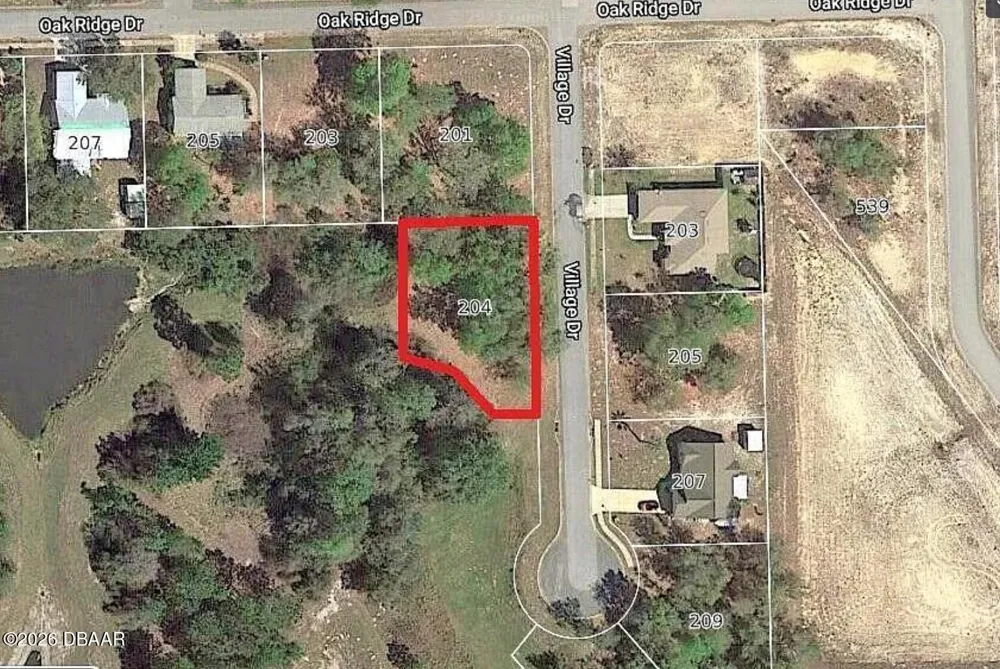 204 Village Drive Welaka, FL 32193