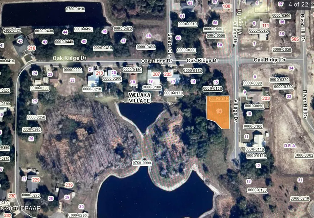 204 Village Drive Welaka, FL 32193