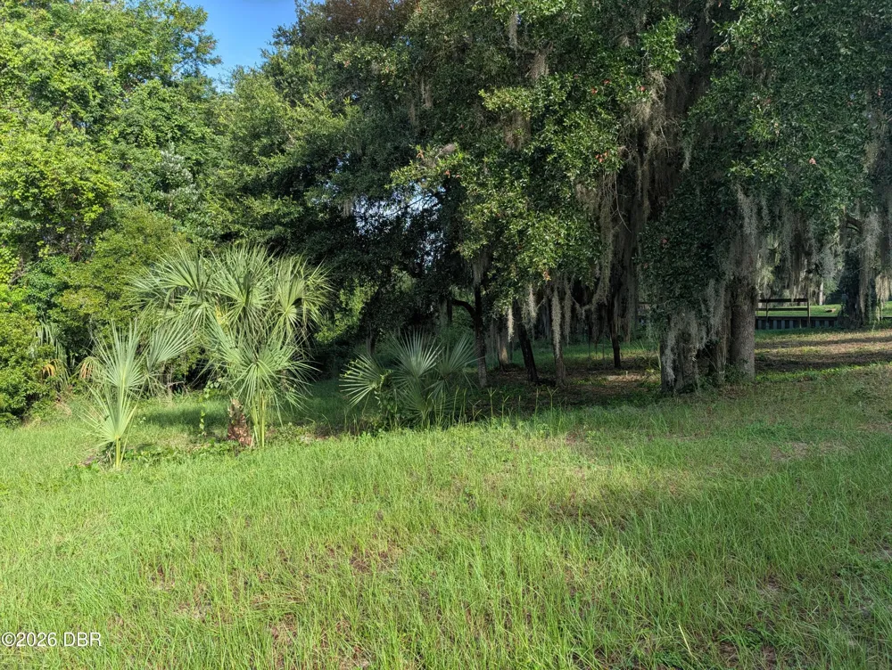 204 Village Drive Welaka, FL 32193