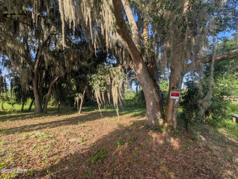 204 Village Drive Welaka, FL 32193