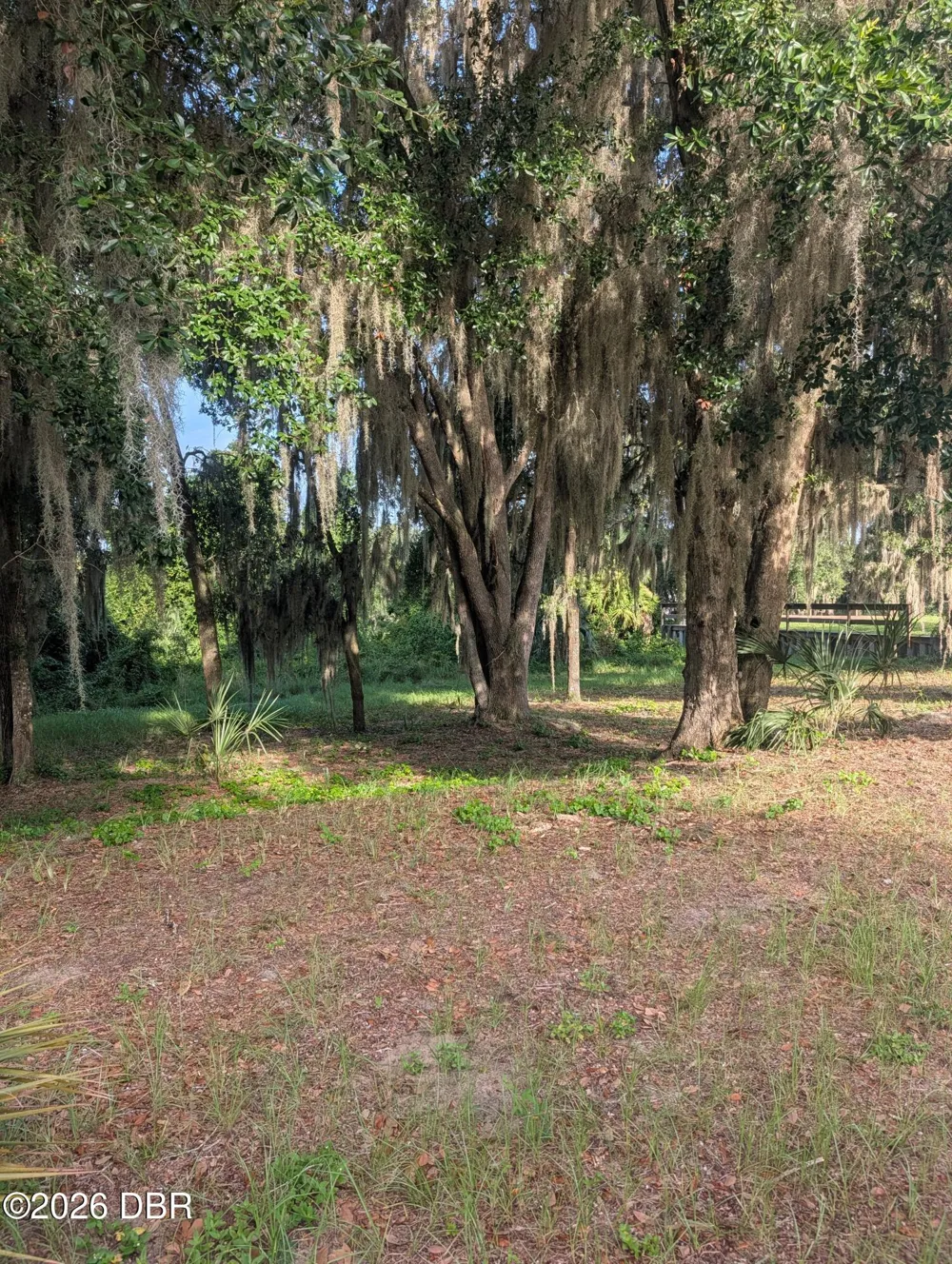 204 Village Drive Welaka, FL 32193