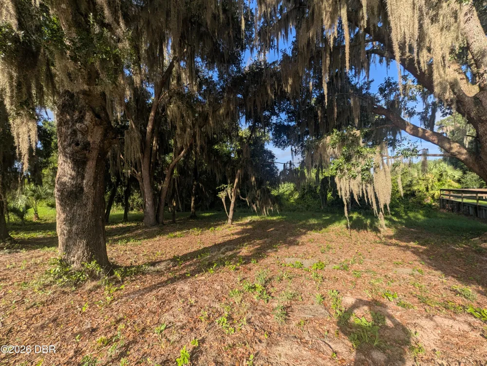 204 Village Drive Welaka, FL 32193