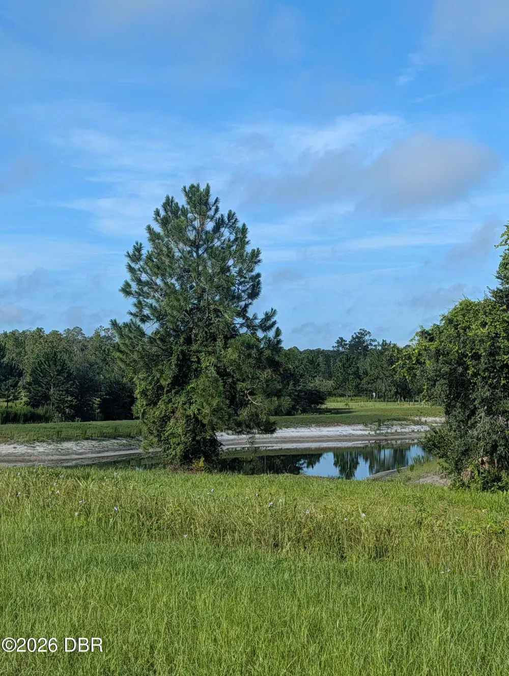 204 Village Drive Welaka, FL 32193