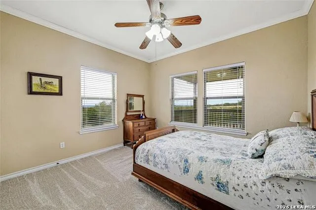 1370 SUNSET VW Fischer, TX 78623