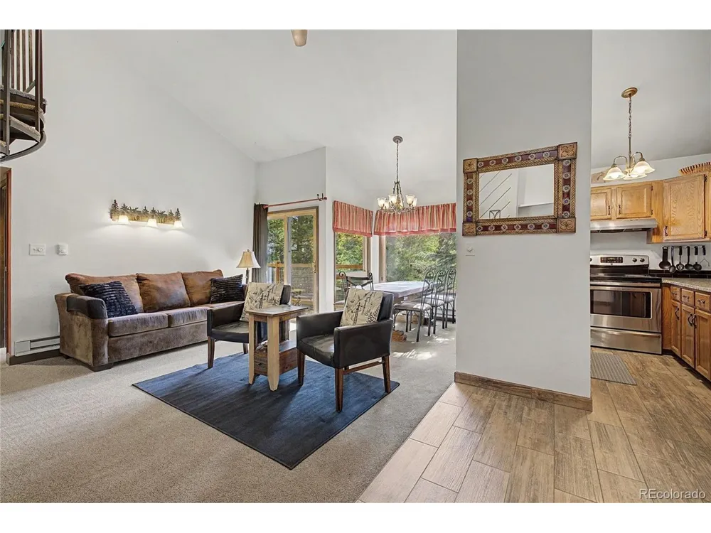 100 Wild Irishman Road #1109 Dillon, CO 80435