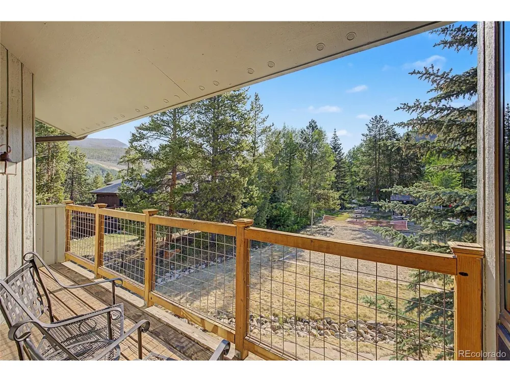 100 Wild Irishman Road #1109 Dillon, CO 80435