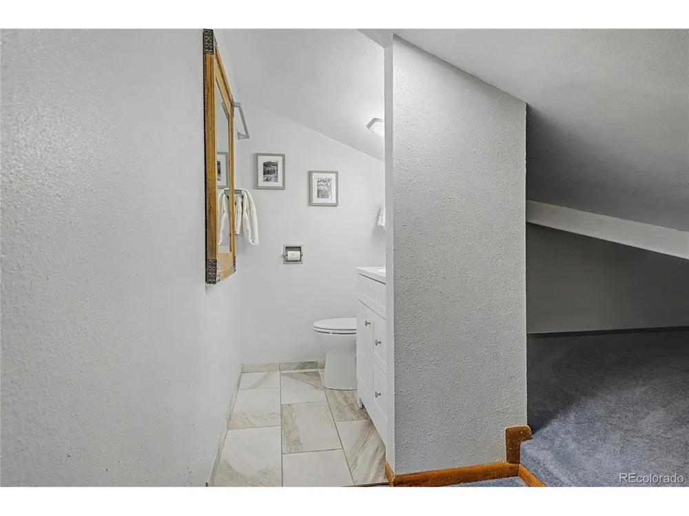 100 Wild Irishman Road #1109 Dillon, CO 80435