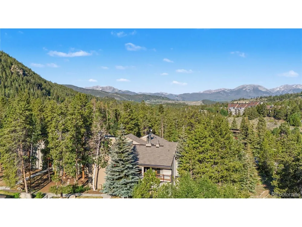 100 Wild Irishman Road #1109 Dillon, CO 80435