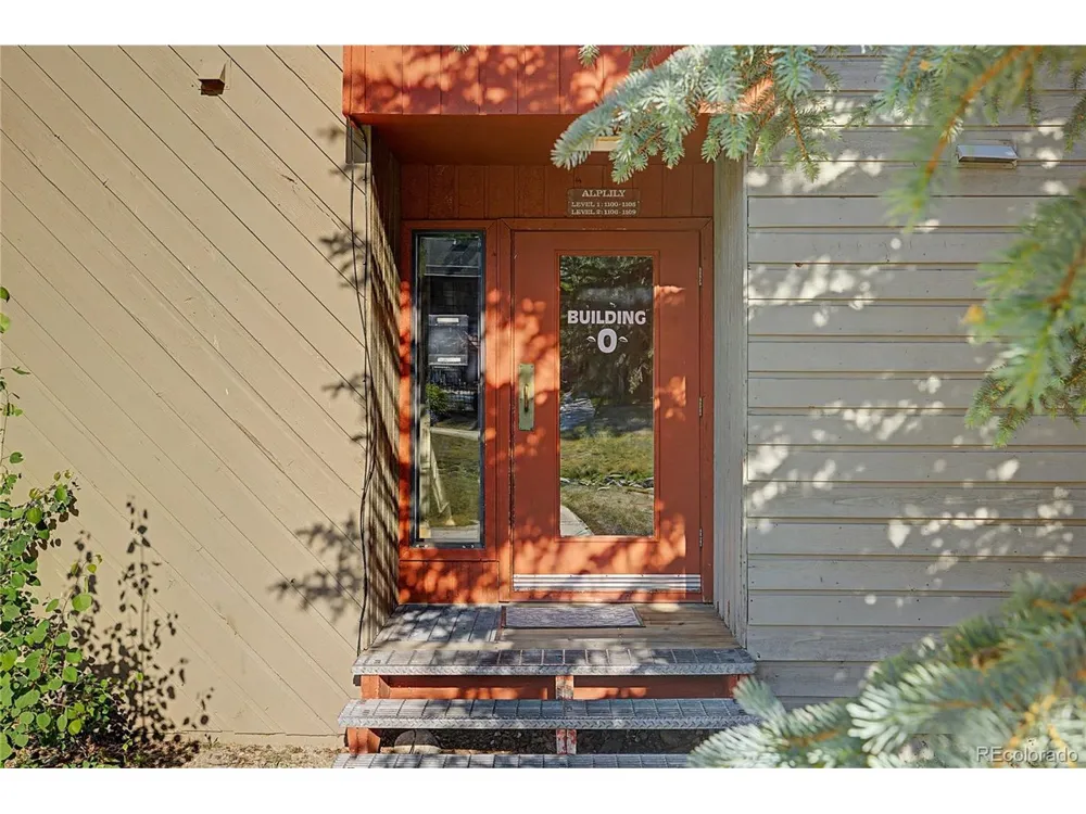 100 Wild Irishman Road #1109 Dillon, CO 80435