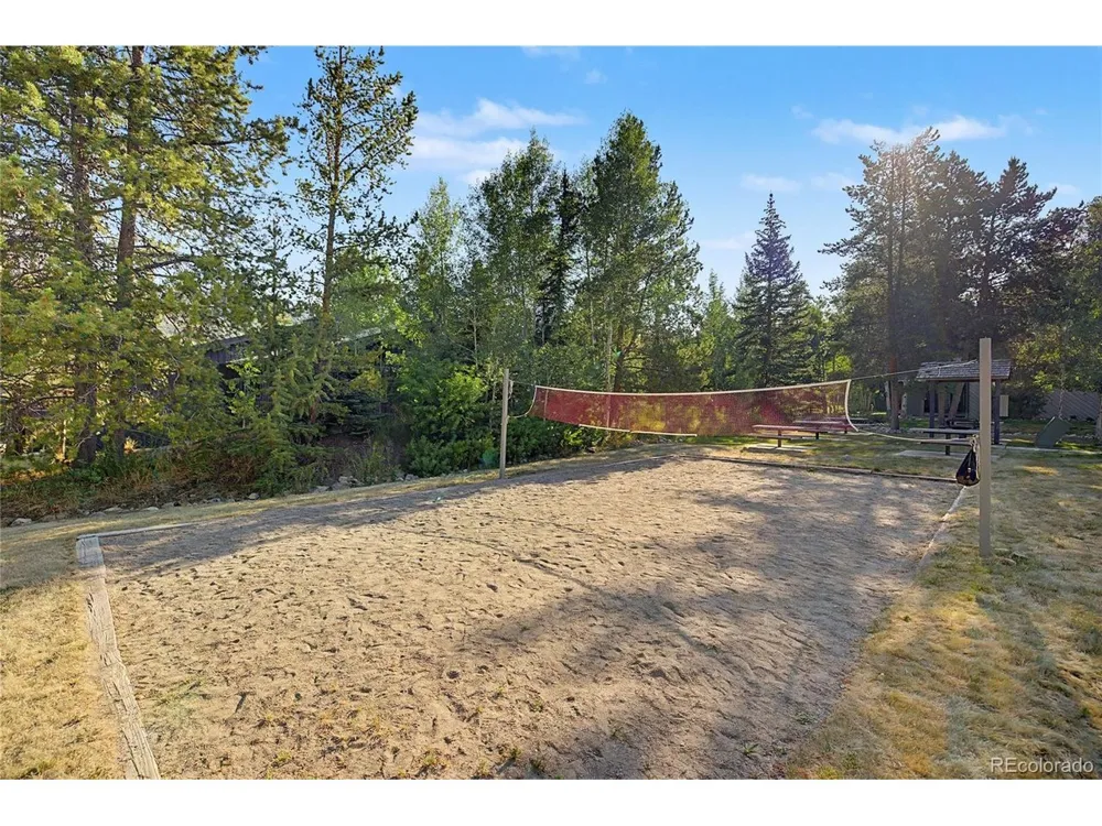100 Wild Irishman Road #1109 Dillon, CO 80435