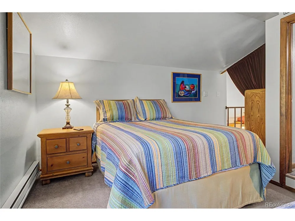 100 Wild Irishman Road #1109 Dillon, CO 80435