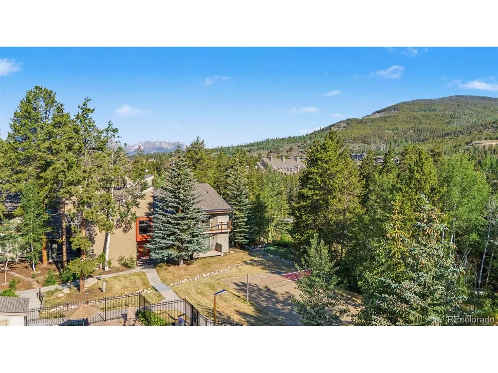 100 Wild Irishman Road #1109 Dillon, CO 80435