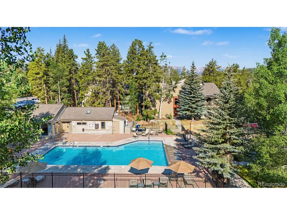 100 Wild Irishman Road #1109 Dillon, CO 80435