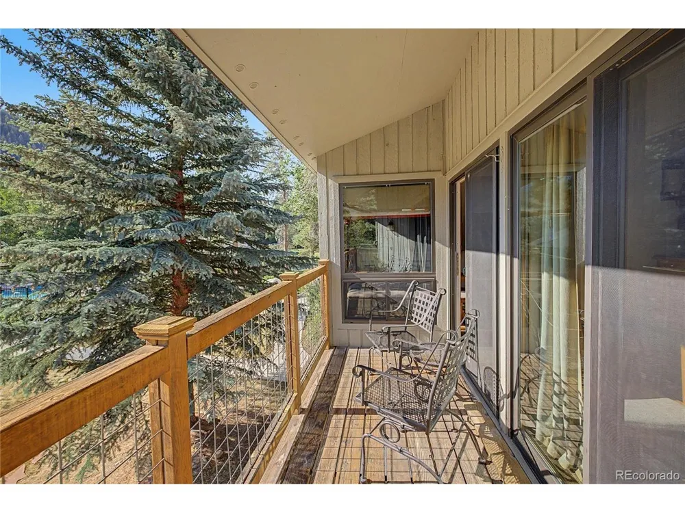 100 Wild Irishman Road #1109 Dillon, CO 80435