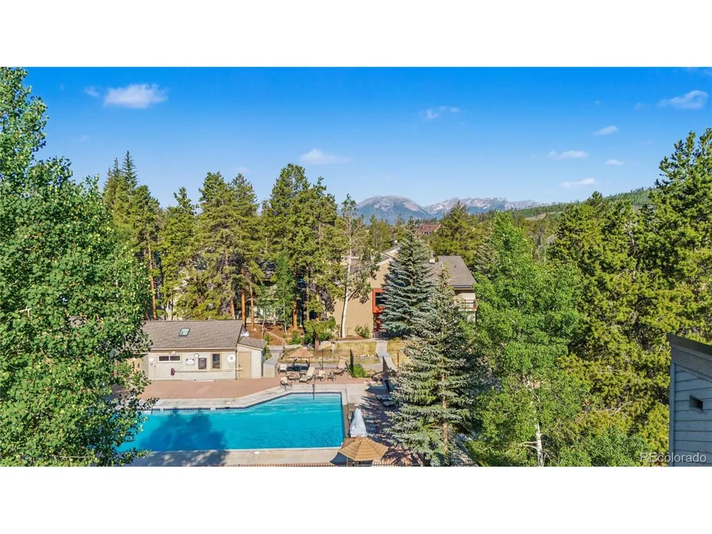 100 Wild Irishman Road #1109 Dillon, CO 80435
