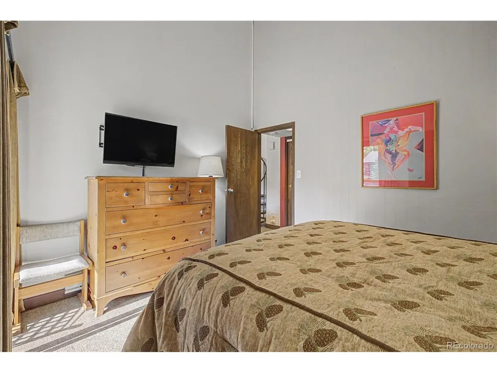 100 Wild Irishman Road #1109 Dillon, CO 80435
