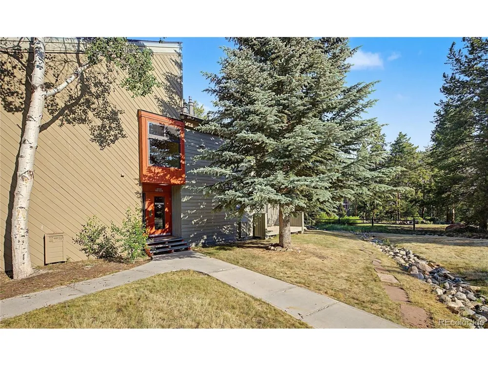 100 Wild Irishman Road #1109 Dillon, CO 80435