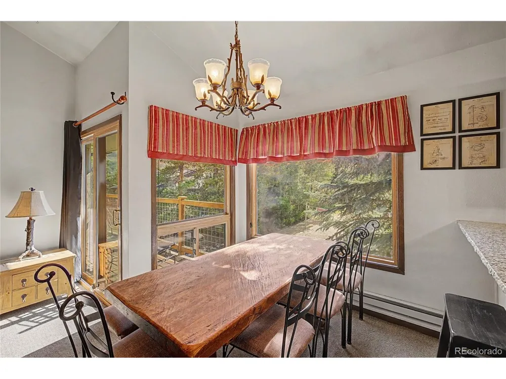 100 Wild Irishman Road #1109 Dillon, CO 80435