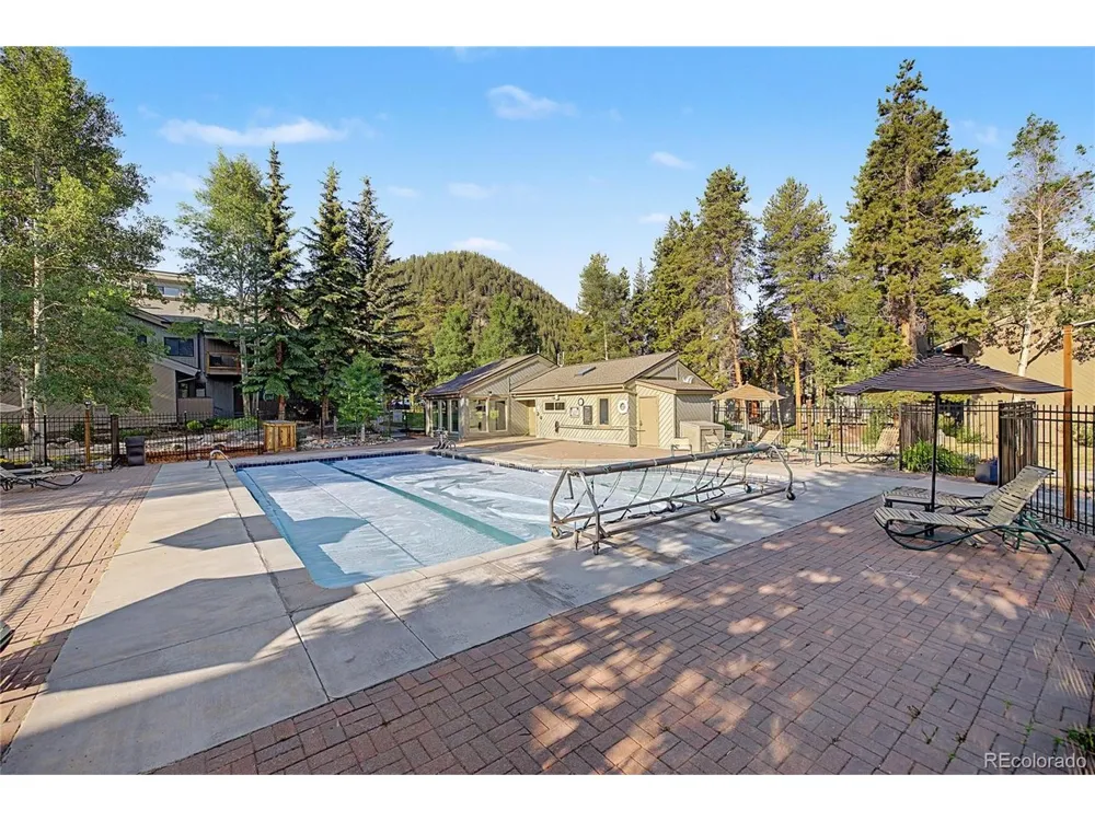 100 Wild Irishman Road #1109 Dillon, CO 80435