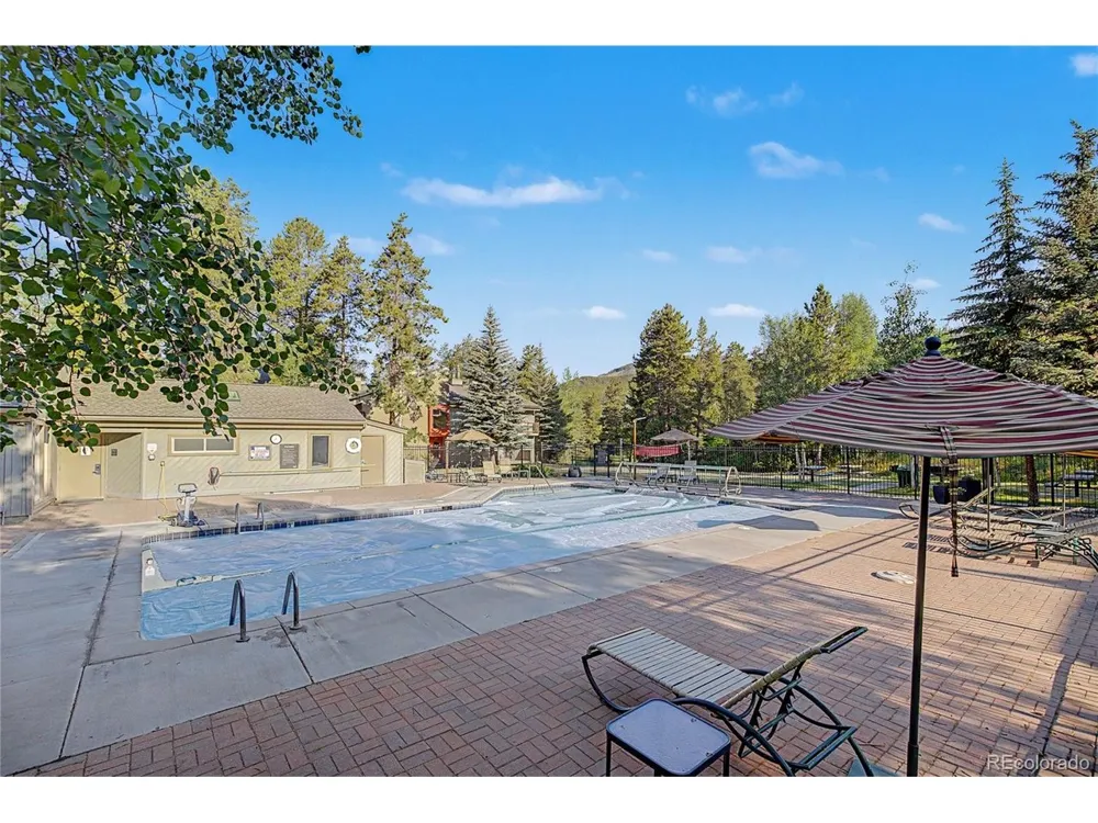 100 Wild Irishman Road #1109 Dillon, CO 80435
